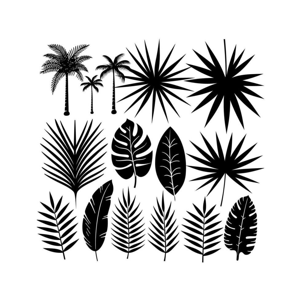 Tropical Palm Trees and Leaves Silhouette Set. icon design. vector