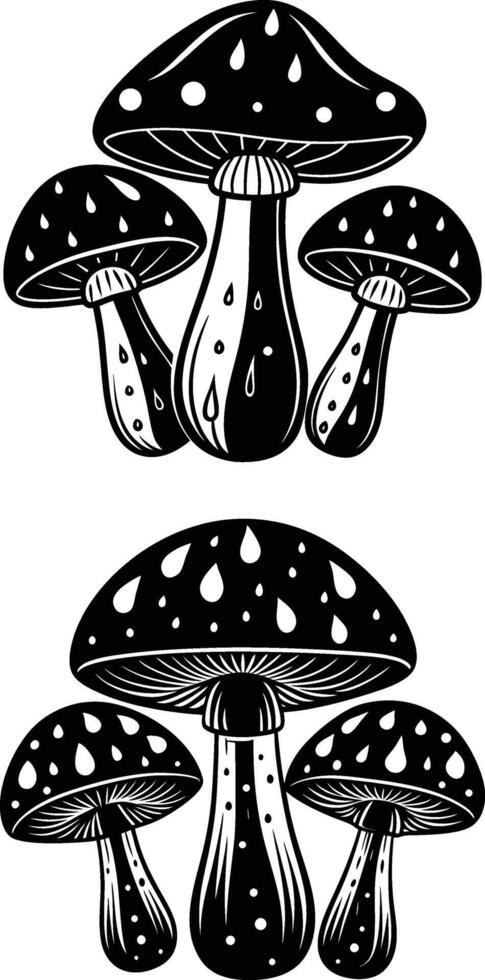 Mushrooms covered in morning rain droplets vector