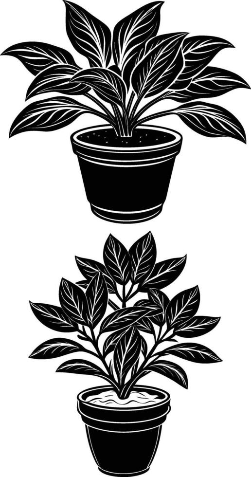 Indoor potted plant Silhouette vector