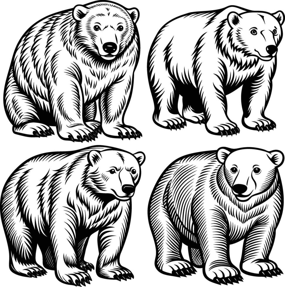 Polar bear silhouette set vector