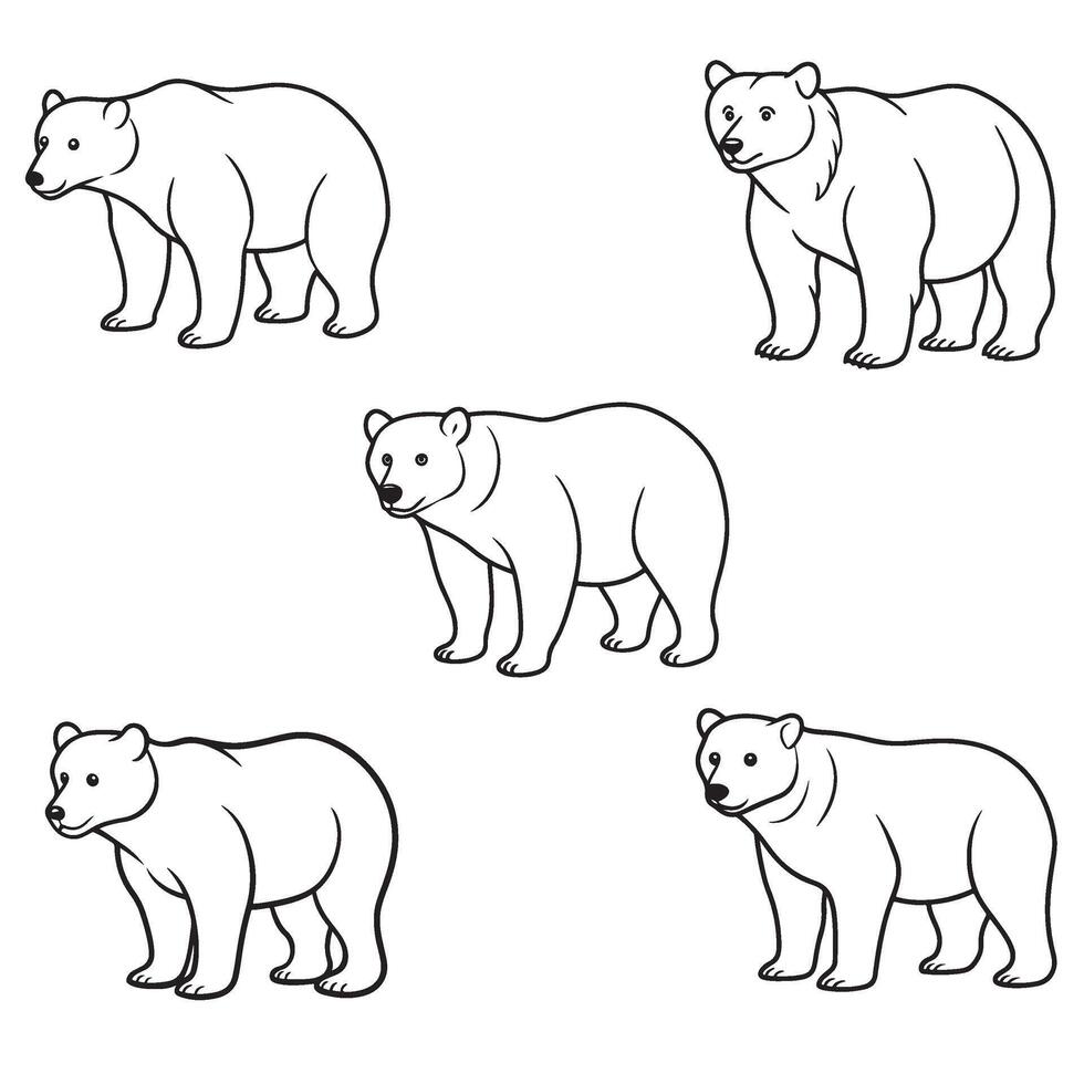 bear adult coloring page vector