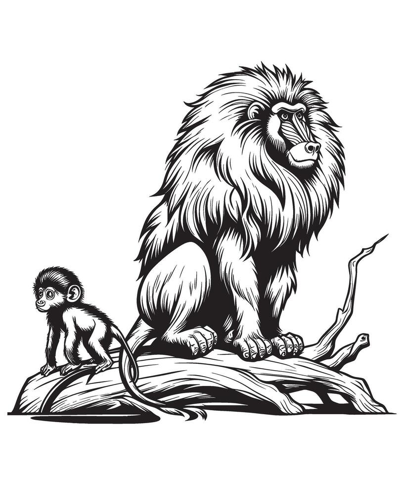Baboon Coloring Page for Kids vector