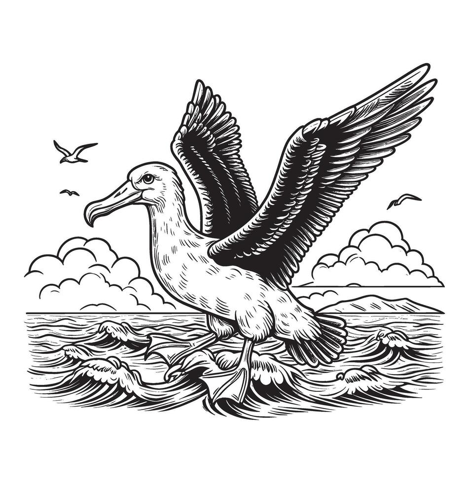 albatross bird drawing Coloring book page vector