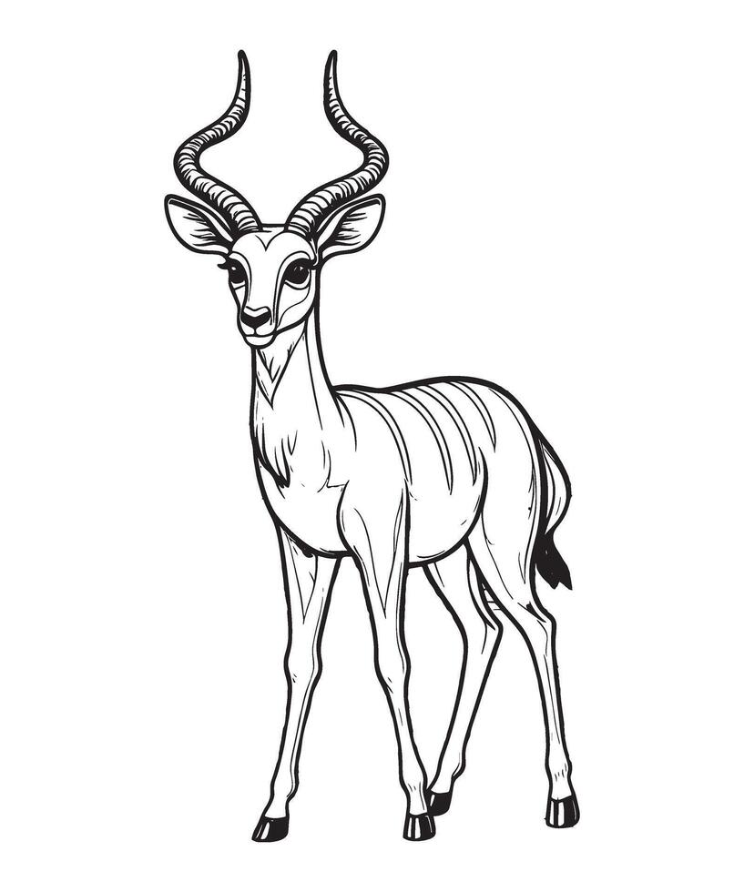 Antelope in the field Black and white illustration for coloring book vector