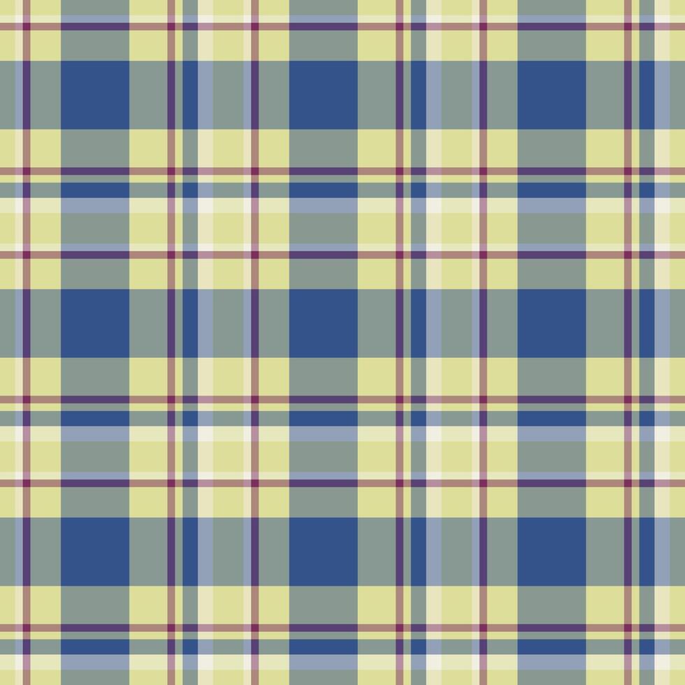 Plaid seamless pattern. background of textile ornament. Flat fabric design. vector