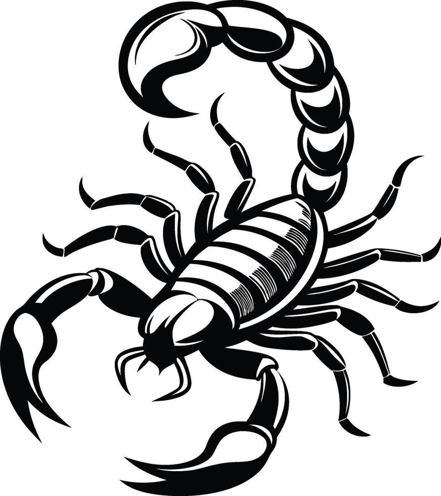 A Scorpion Silhouette on white background Image vector