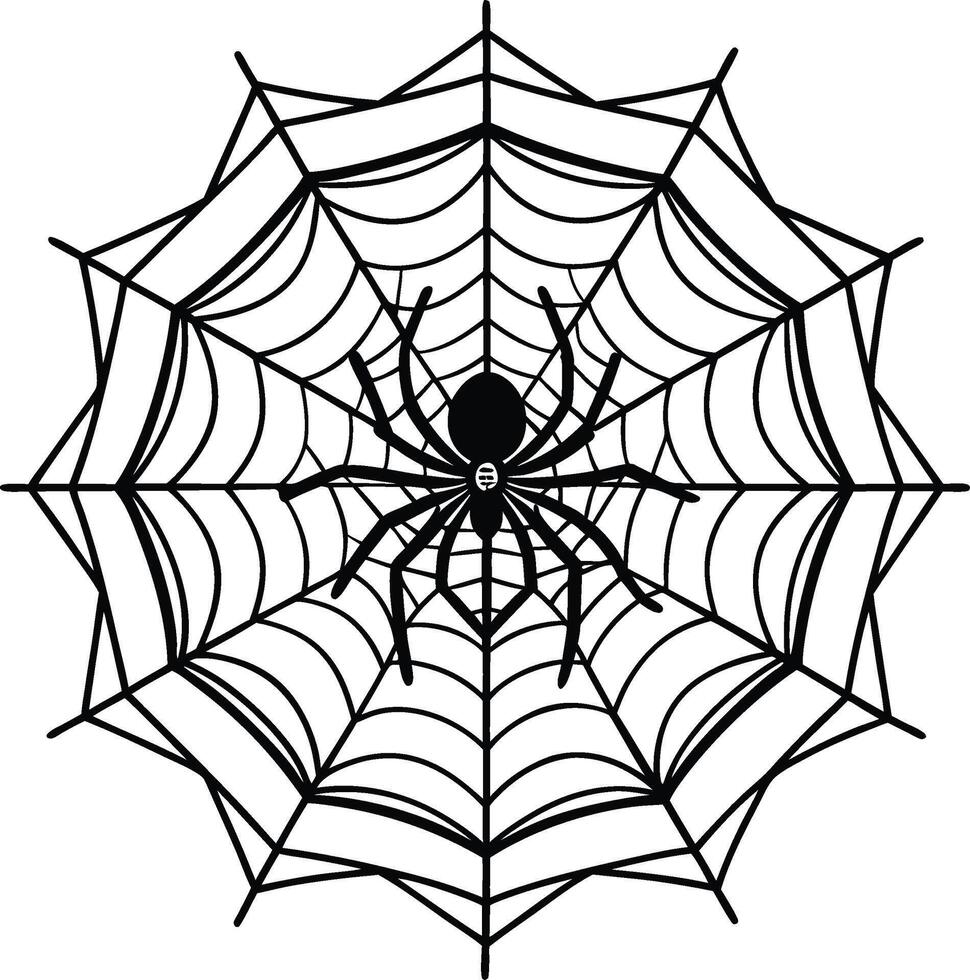 A Spider and web Black and white vector