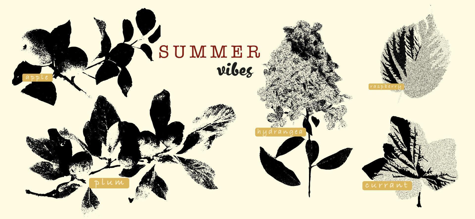 Vintage botanical collage featuring summer fruits and flowers with grunge textures. Includes labels for apple, plum, hydrangea, raspberry, and currant. Ideal for seasonal designs, rustic aesthetics, and nature-inspired projects. Retro and trendy vibes. vector