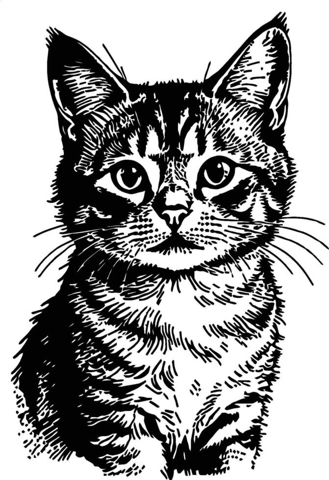 Black and white illustration of a cat with striped fur, large eyes, and its ears are pointed upwards looking directly at the viewer with a focused gaze. vector
