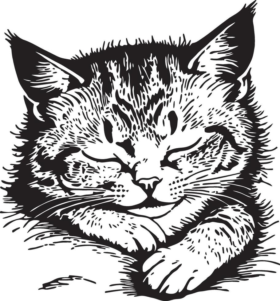 black and white illustration of a sleeping cat vector