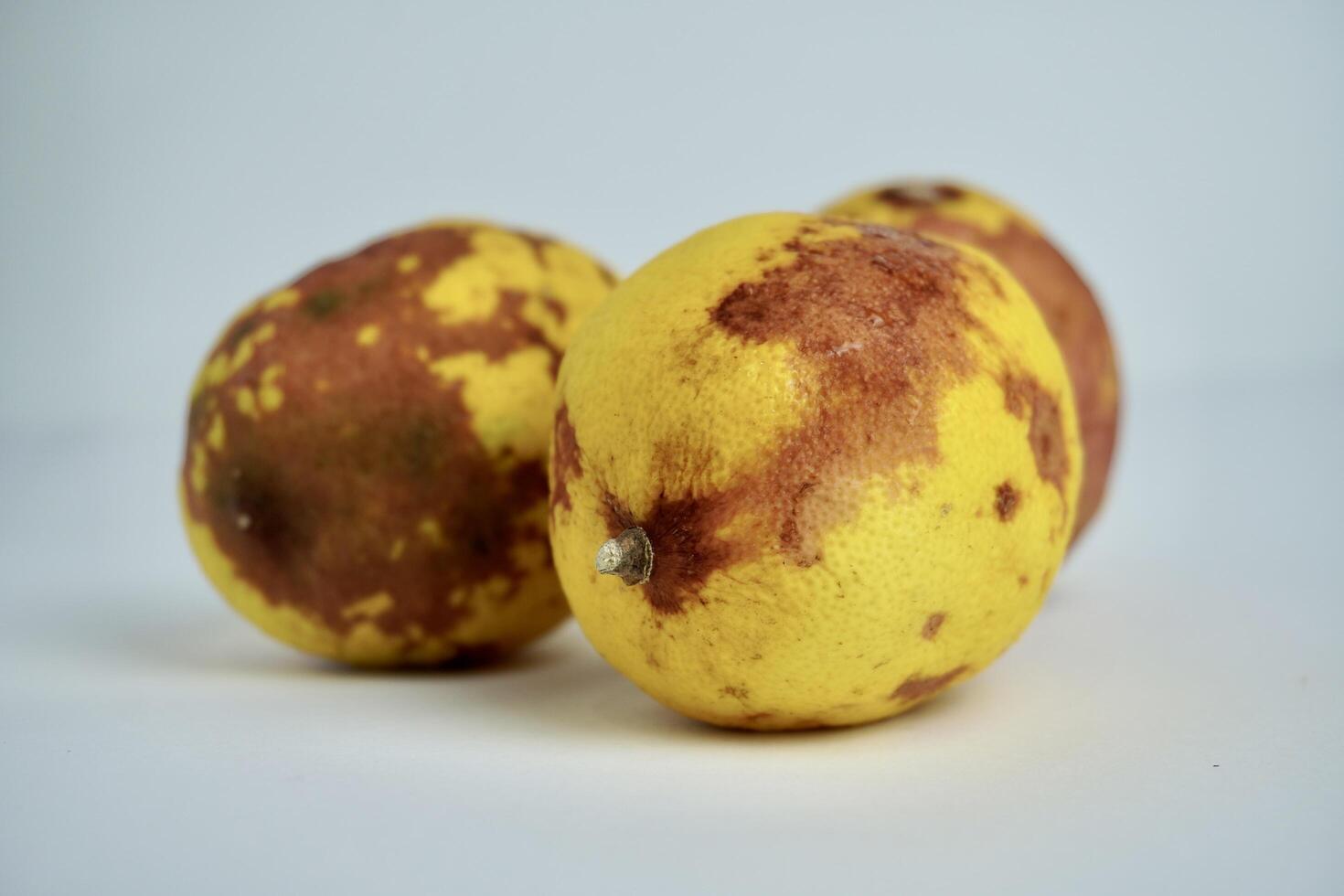 Yellow and brown spoiled, rotten, and dry lemon fruit. Object photography isolated on horizontal white background. photo