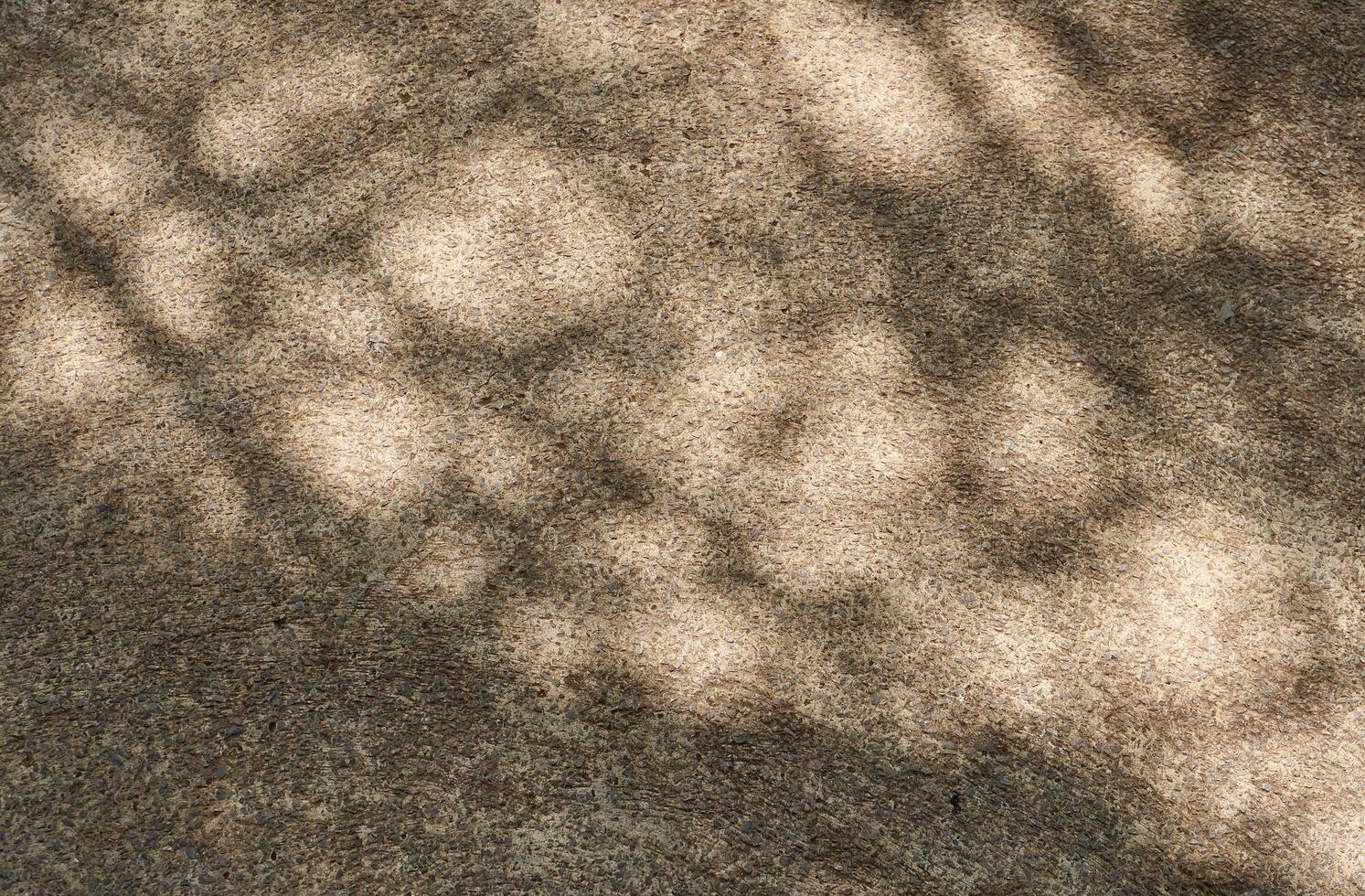Shadows from tree branches and leaves isolated on horizontal brown concrete textured flooring surface with warm sun light background. photo