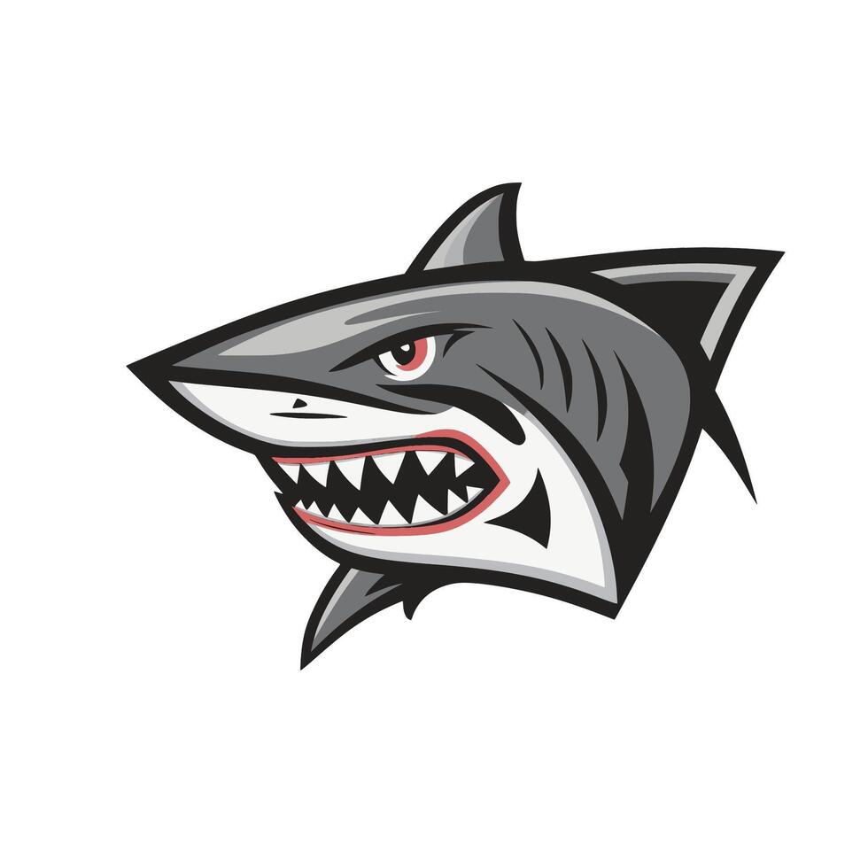 shark design character logo illustration on white background vector