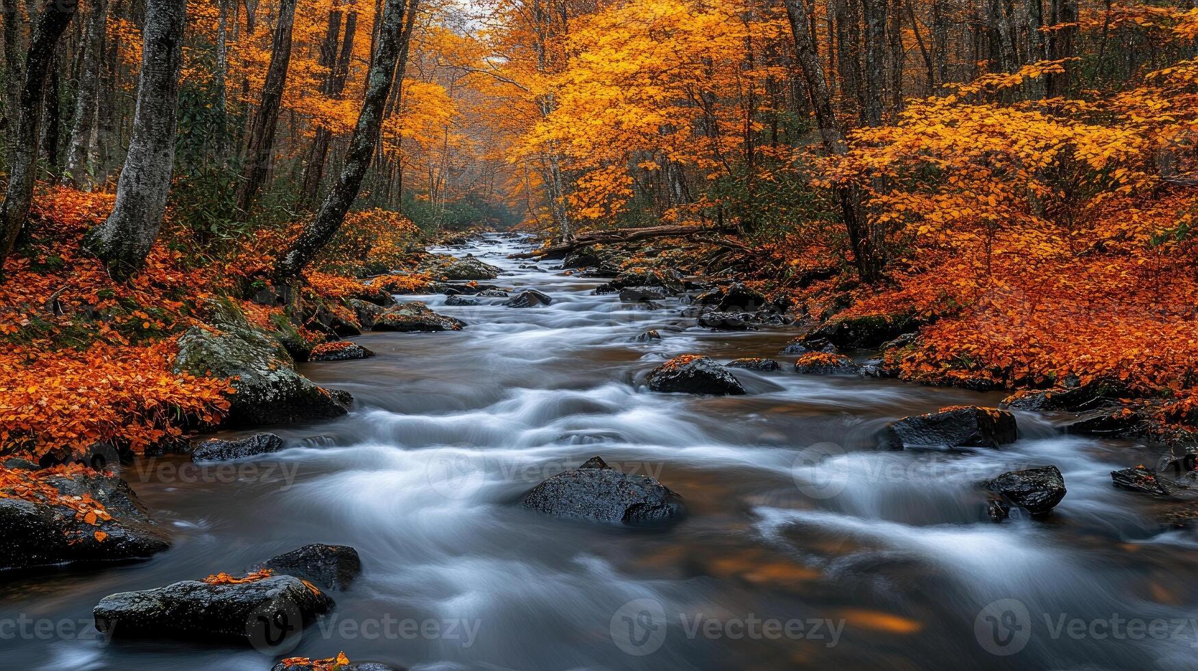 Mountain stream flows through a vibrant autumn forest photo
