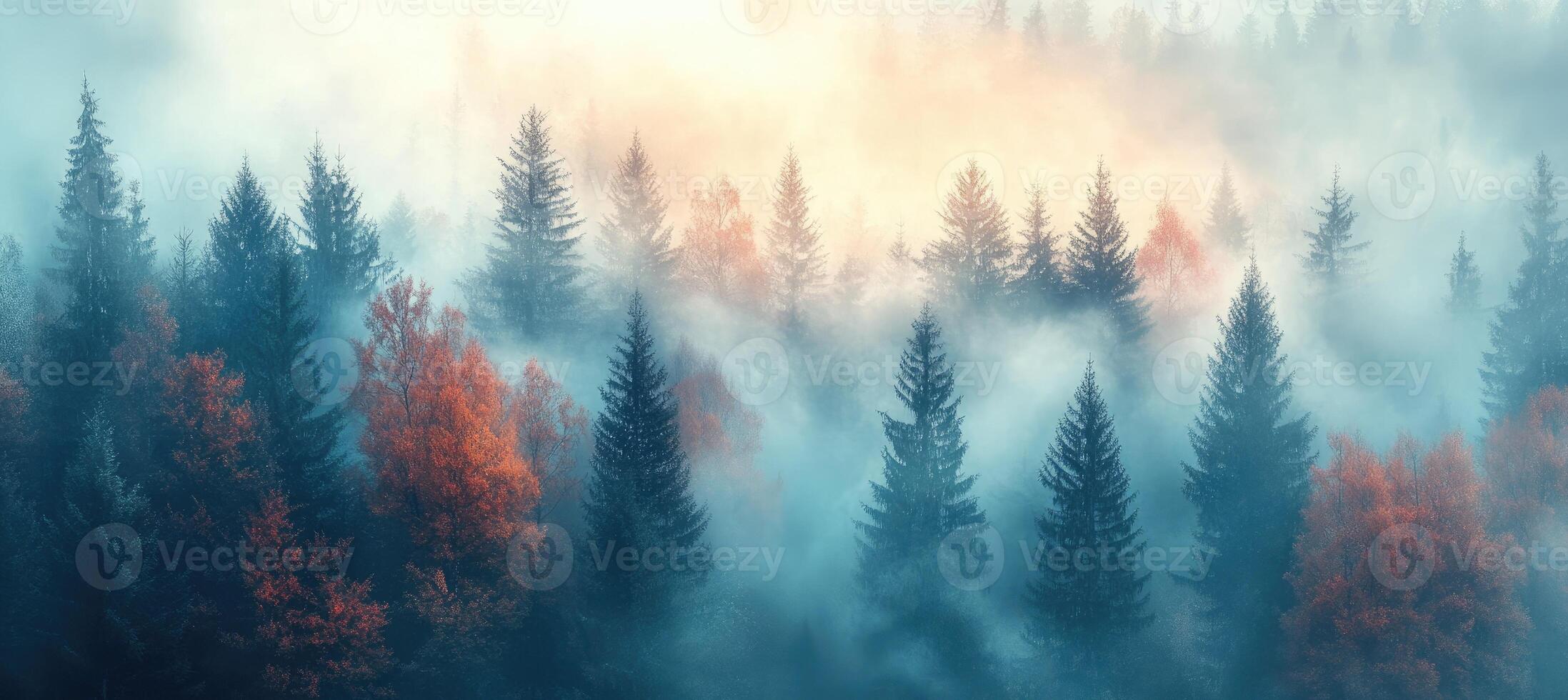 Golden light bathing misty autumn forest landscape at sunrise photo