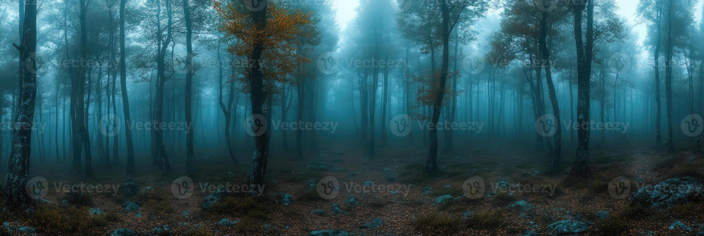 Narrow path leading through foggy forest in autumn photo