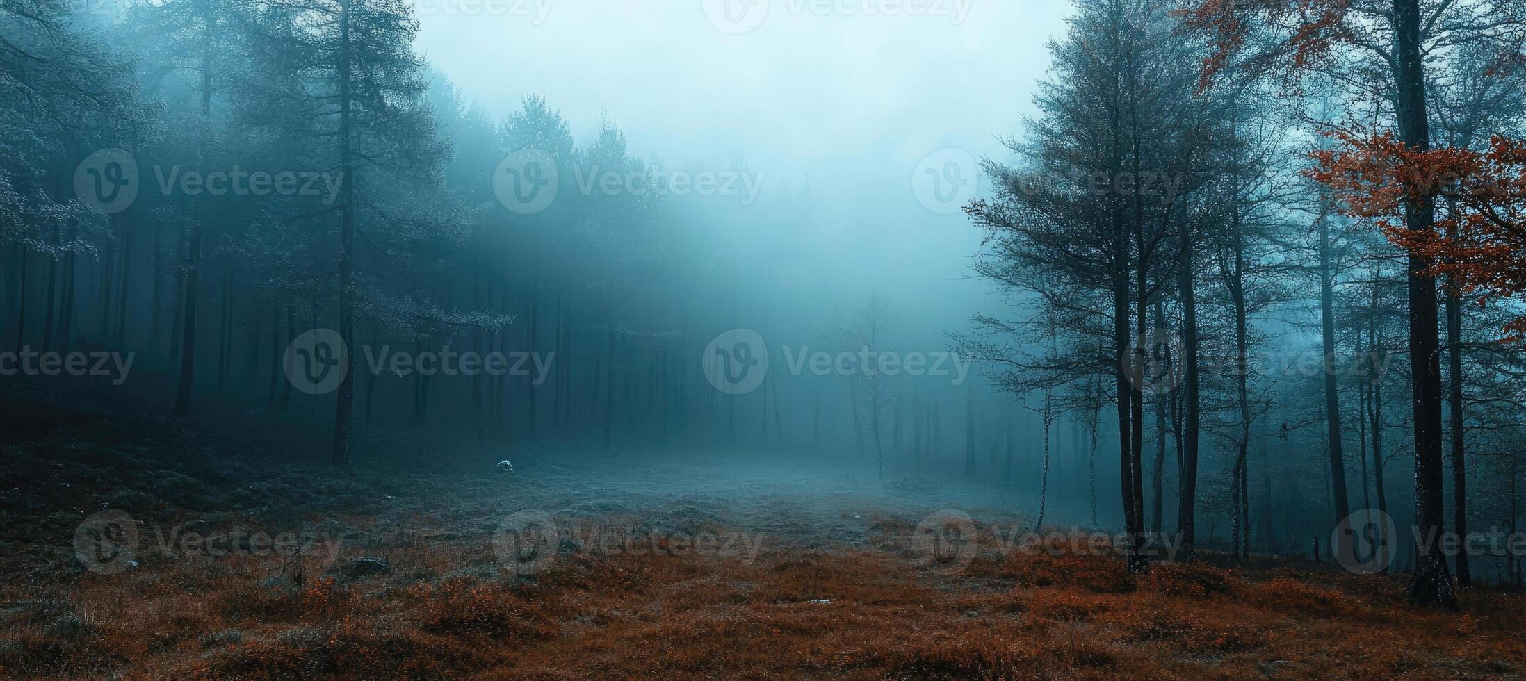 Narrow path leading through foggy forest in autumn photo