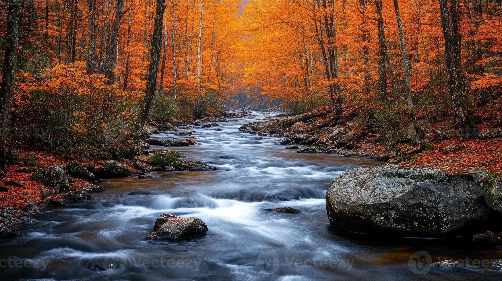 Mountain stream flows through a vibrant autumn forest photo