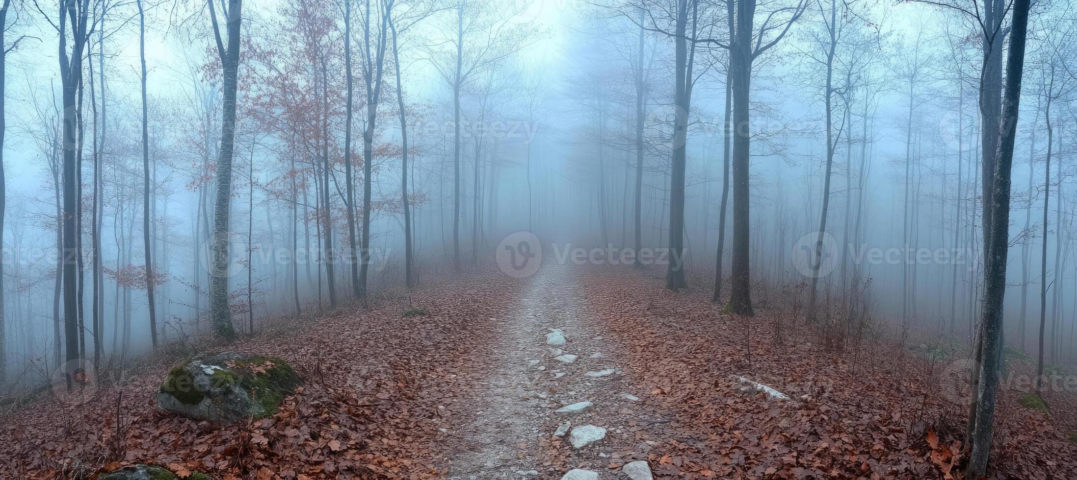 Dirt road leading through foggy autumn forest photo