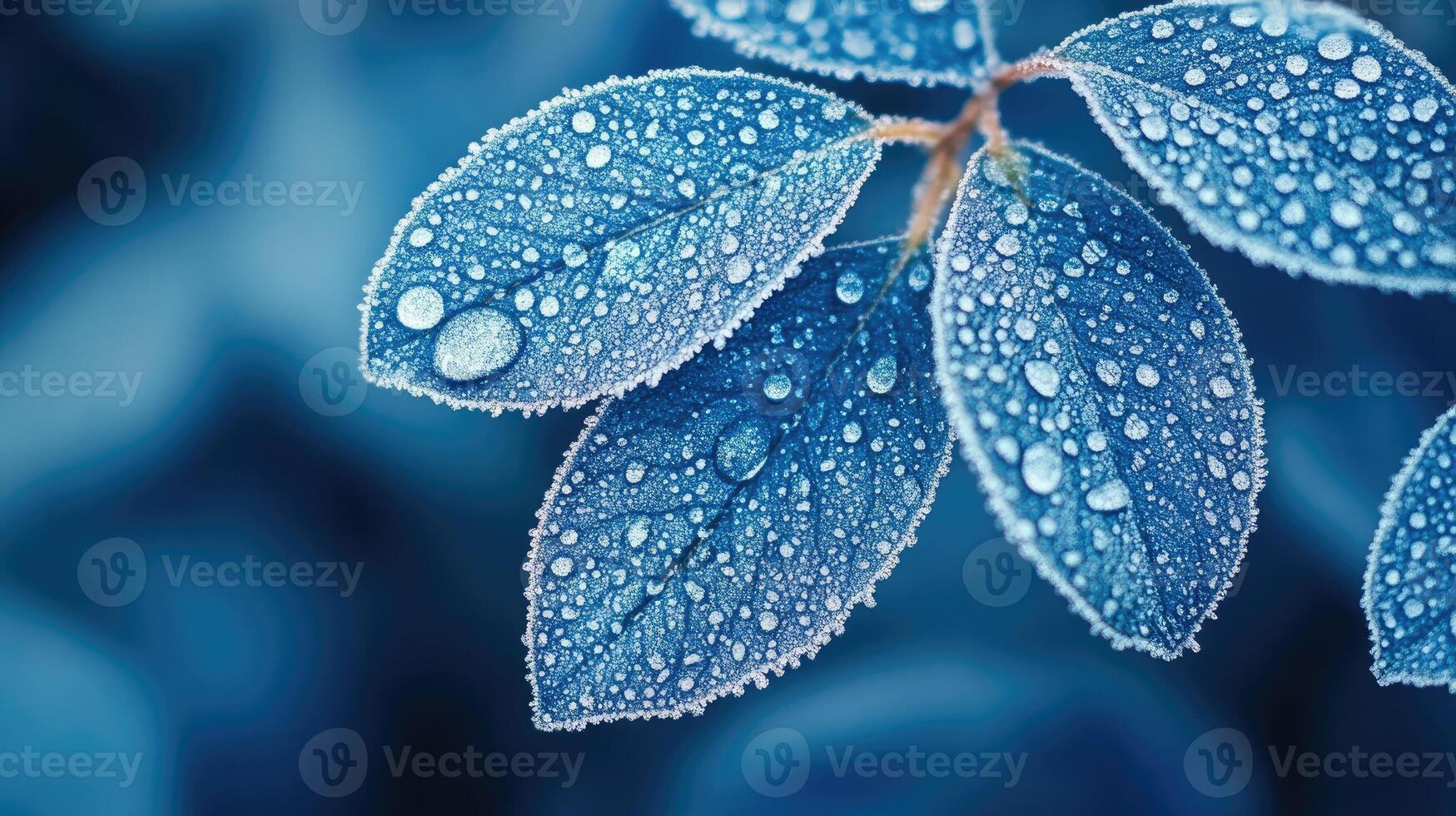Frozen leaves covered with hoarfrost creating winter background photo