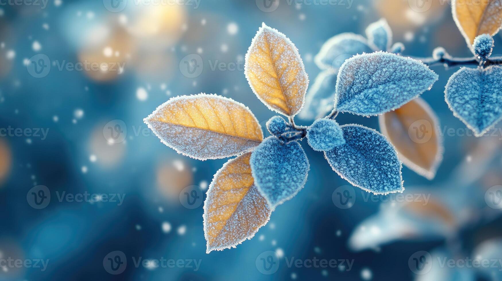 Frozen leaves covered with hoarfrost creating winter background photo