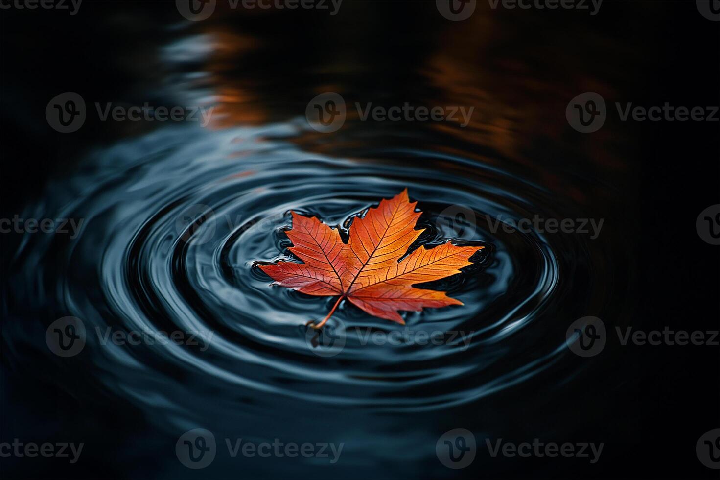 Autumn leaf on river surface photo