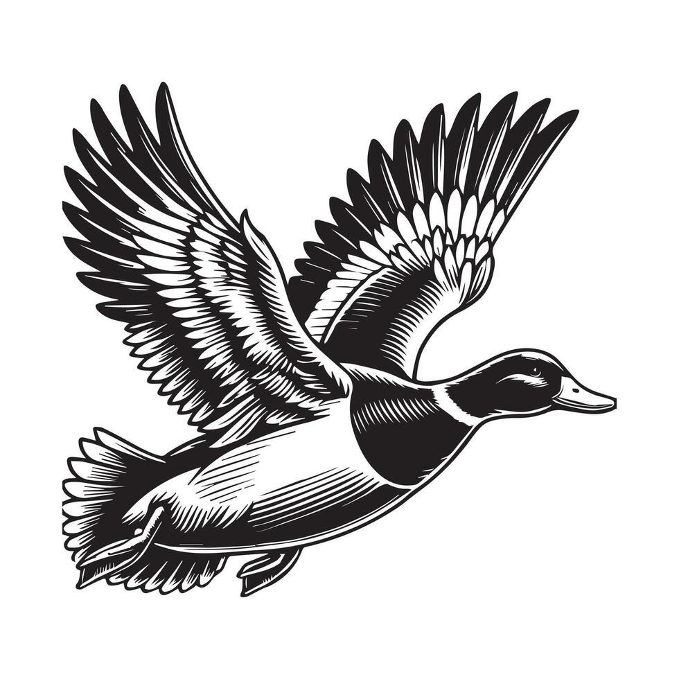Duck Clipart, Duck Bird silhouette, A Feather Glide Duck illustration in black and white vector
