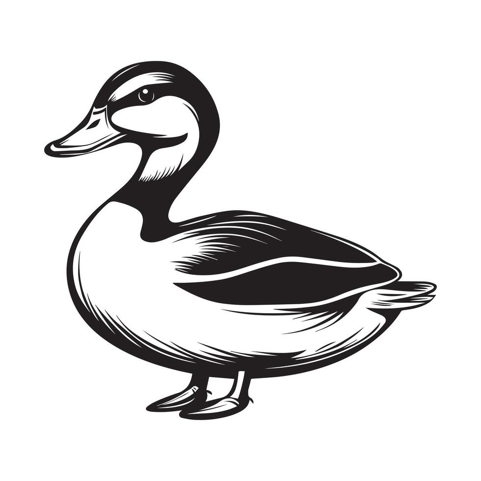 Duck Clipart, Duck Bird silhouette, A Duck standing illustration in black and white vector