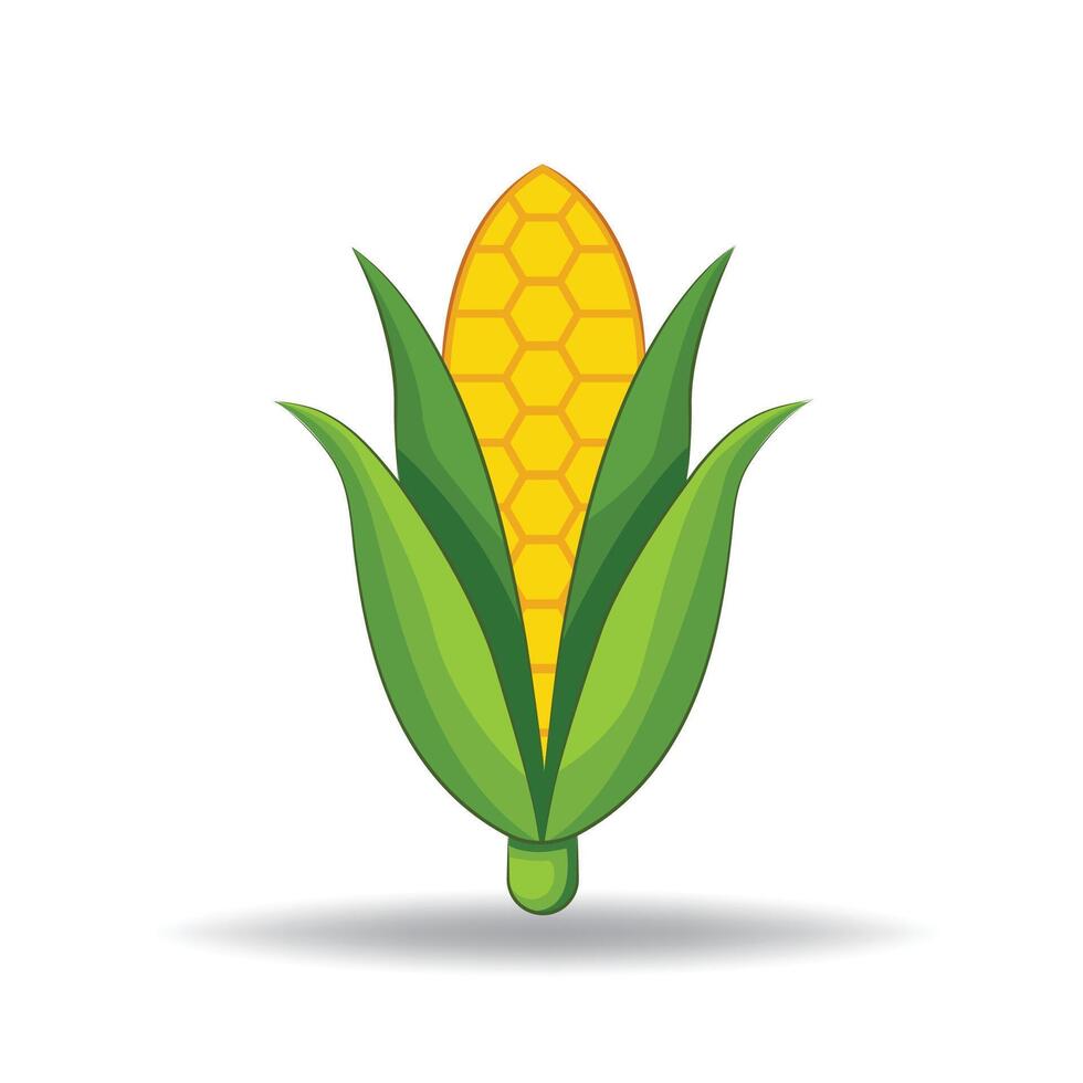 Corn Nutrient-Rich and Versatile Crop. vector