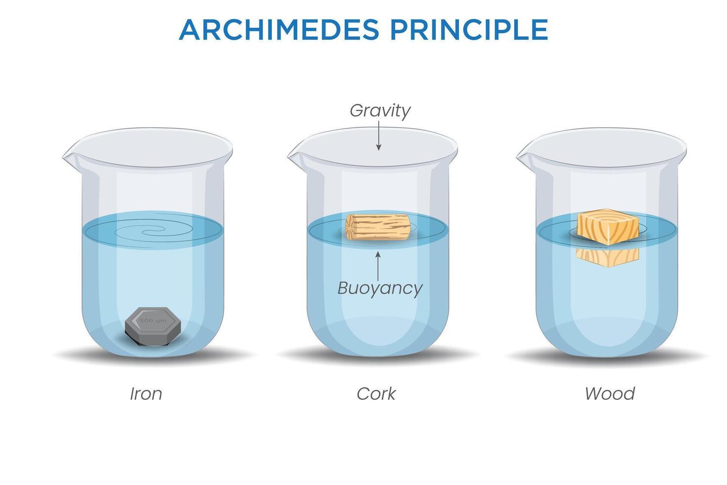 Archimedes' Principle Buoyant Force and Fluid Displacement vector