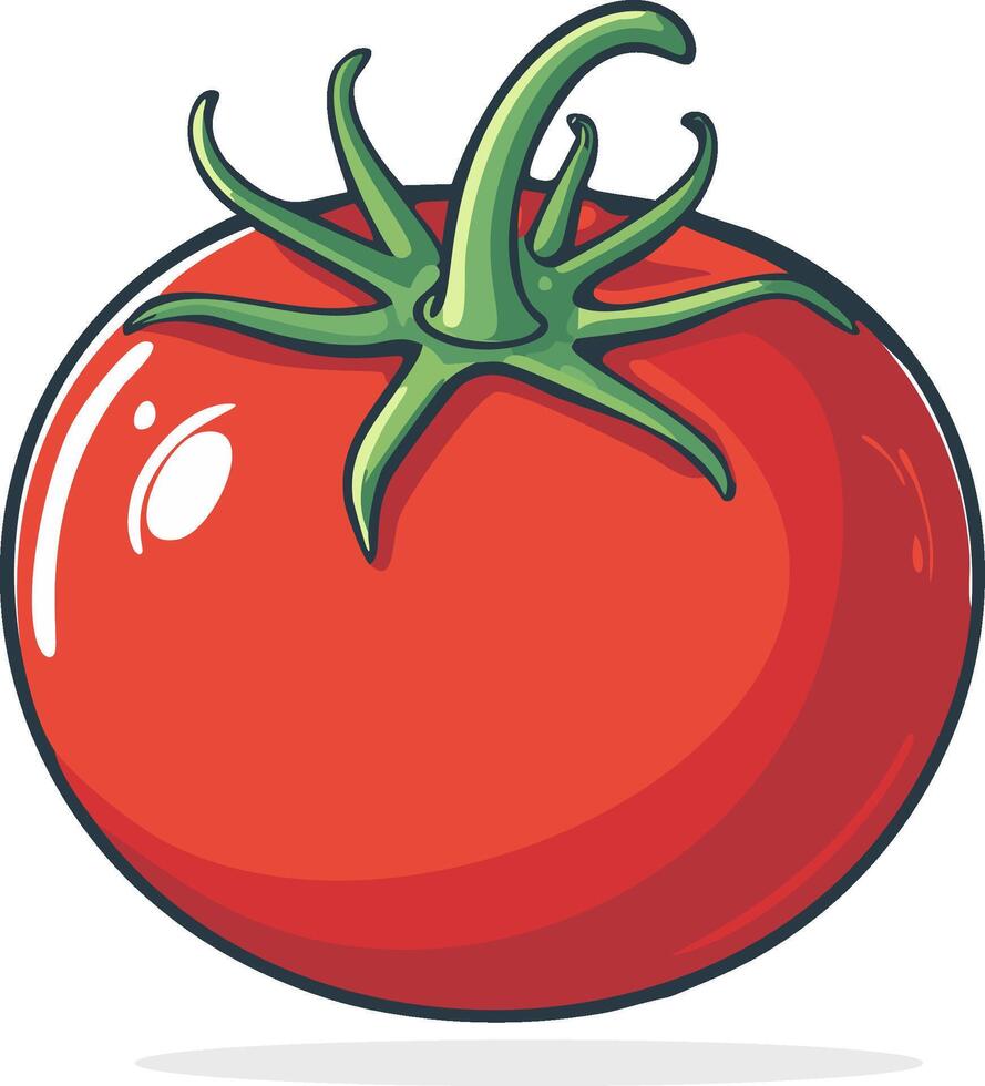 Colorful Tomato Icon. Hand Drawn illustration tomato. vector