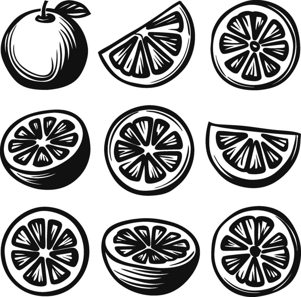 Orange fruit hand drawn collection Icon set, sliced fruit food and elements Black and white. vector