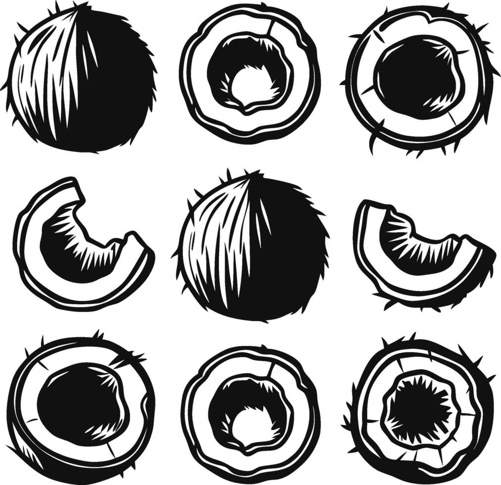 Coconut hand drawn collection Icon set, sliced fruit food and elements Black and white. vector