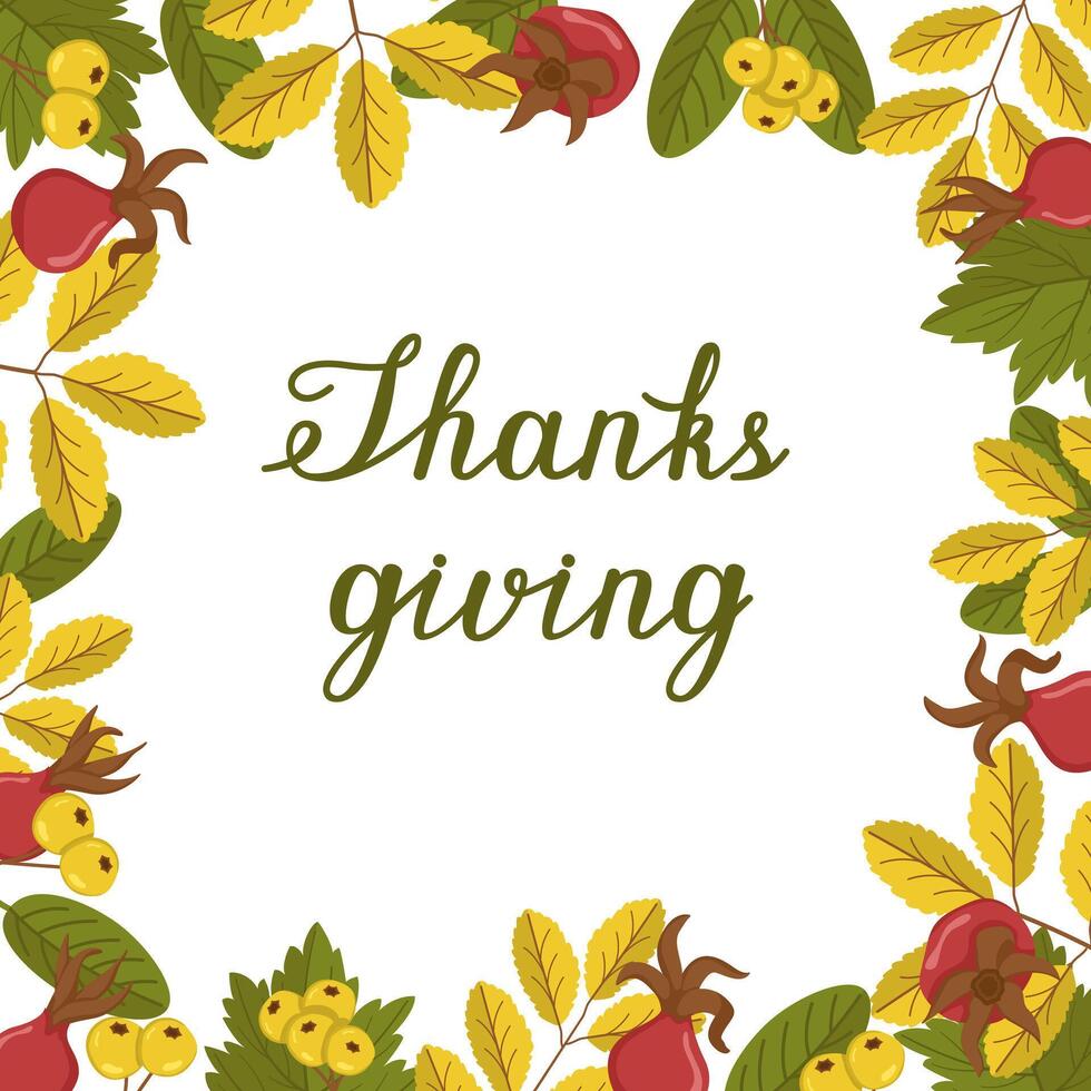 Thanksgiving greeting card with leaves and berries. Colored frame with autumn leaves and text. Botanical illustration with rosehip foliage and berries. vector