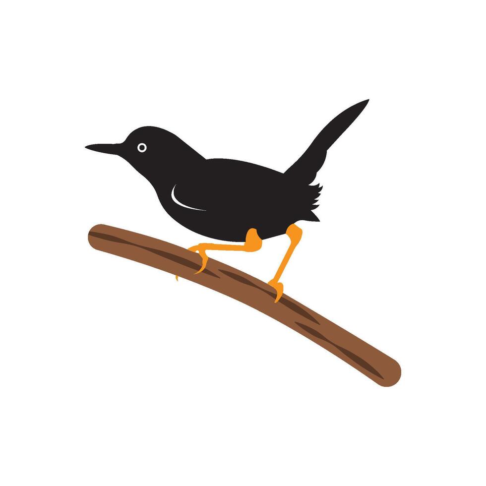 beautiful songbird icon vector