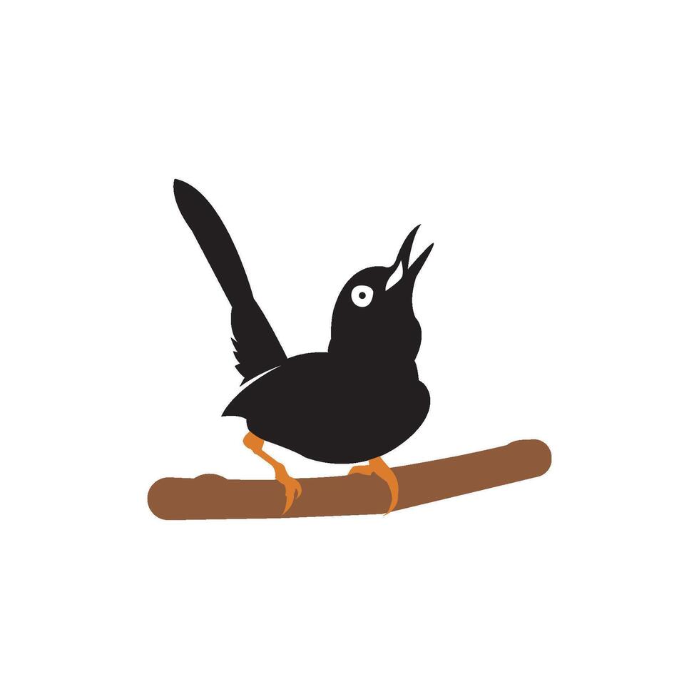 beautiful songbird icon vector