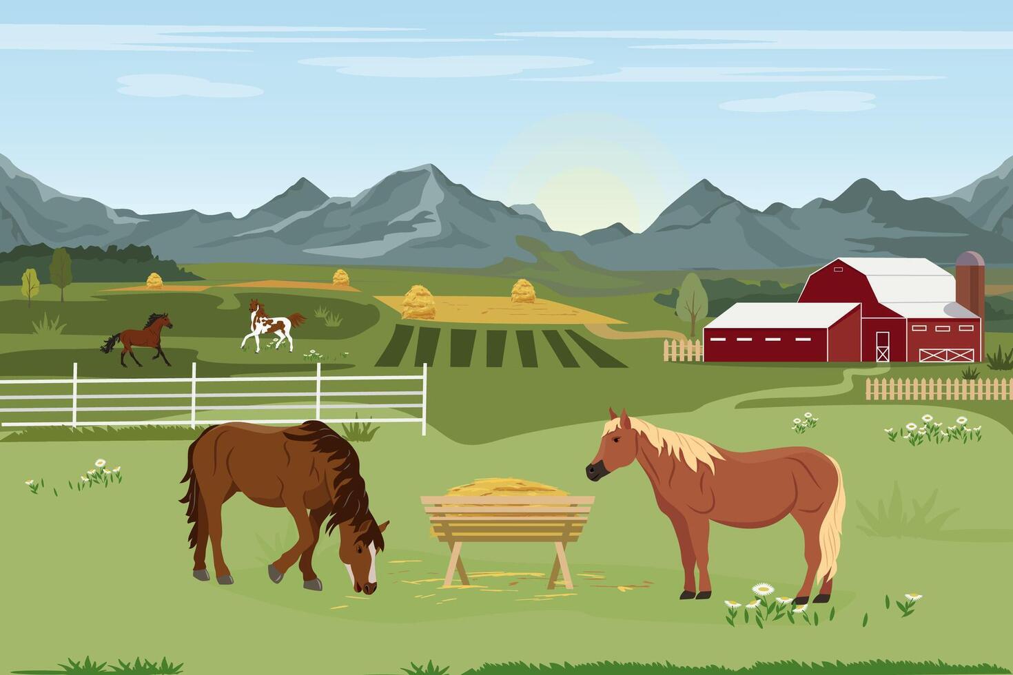 illustration of a horse farm and agriculture. Horse breeding. Summer rural landscape with a farm and horses eating grass. Design elements for infographics, websites and print media vector