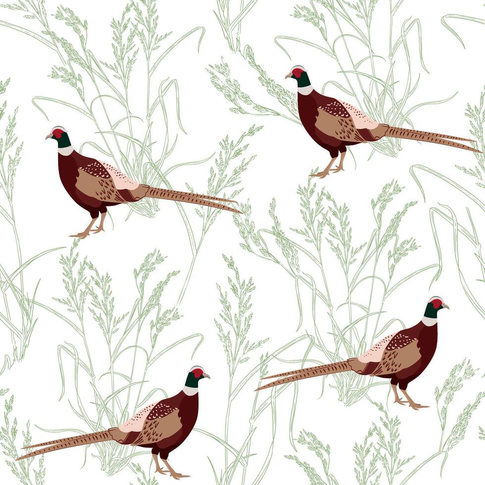 Seamless pattern with hand drawn pheasants and plants, grass on a white background vector