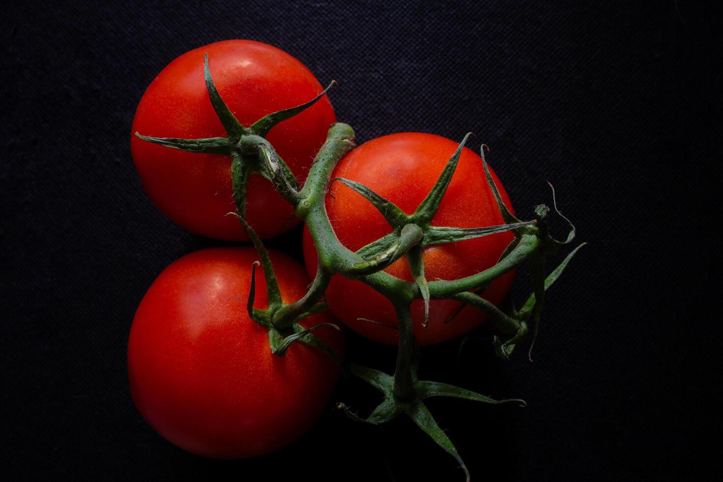 Three vibrant tomatoes on the vine set against a dark background, showcasing their rich red color and glossy texture in a striking, minimalist composition. photo
