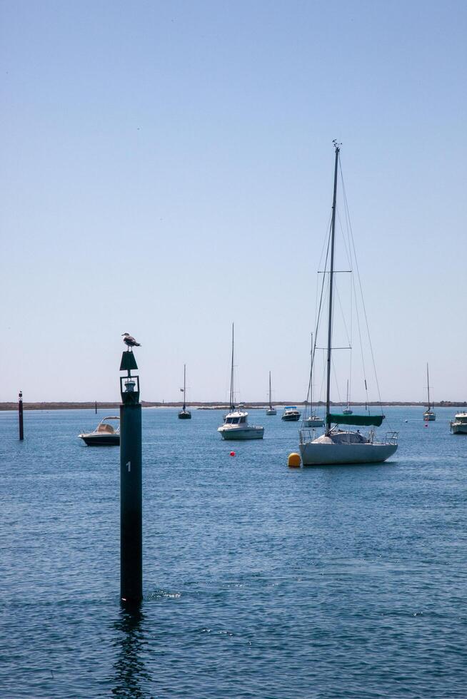 A seagull perches on a navigation buoy with moored boats in the background, set against the scenic Ria Formosa in Algarve, Portugal. photo