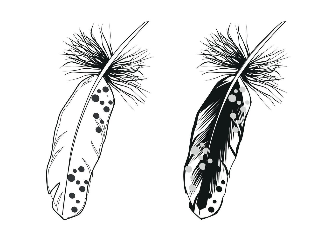 Two feathers on a white background vector