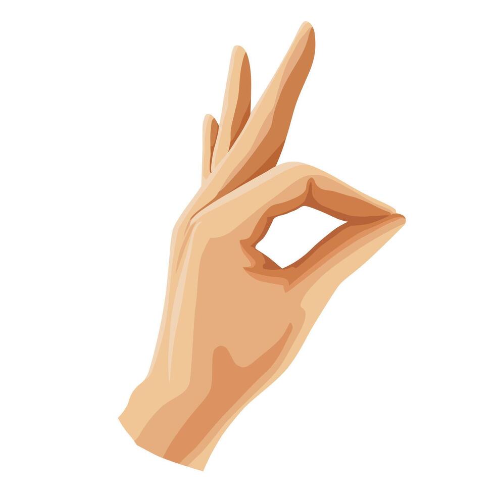 Human hand showing ok sign. illustration depicts emoji gesture in flat style. View of emoji for card, banner, flyer, poster design for stickers day vector