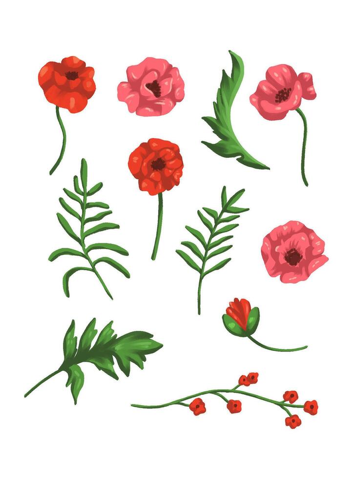 poppies flower set vector