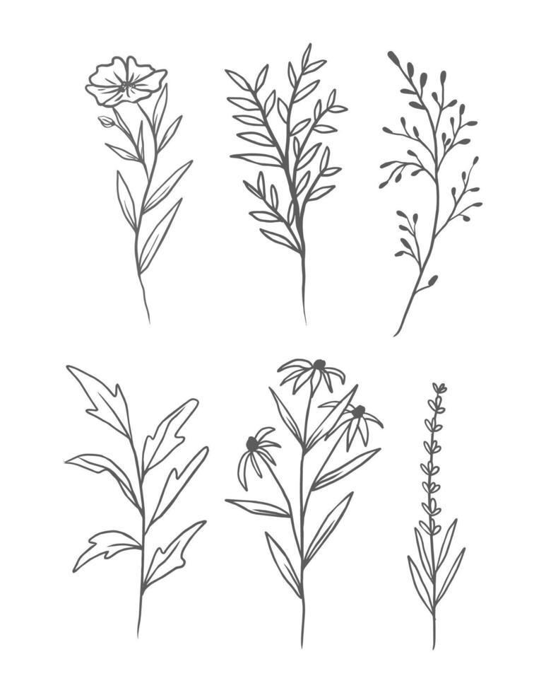 hand drawn flower set vector