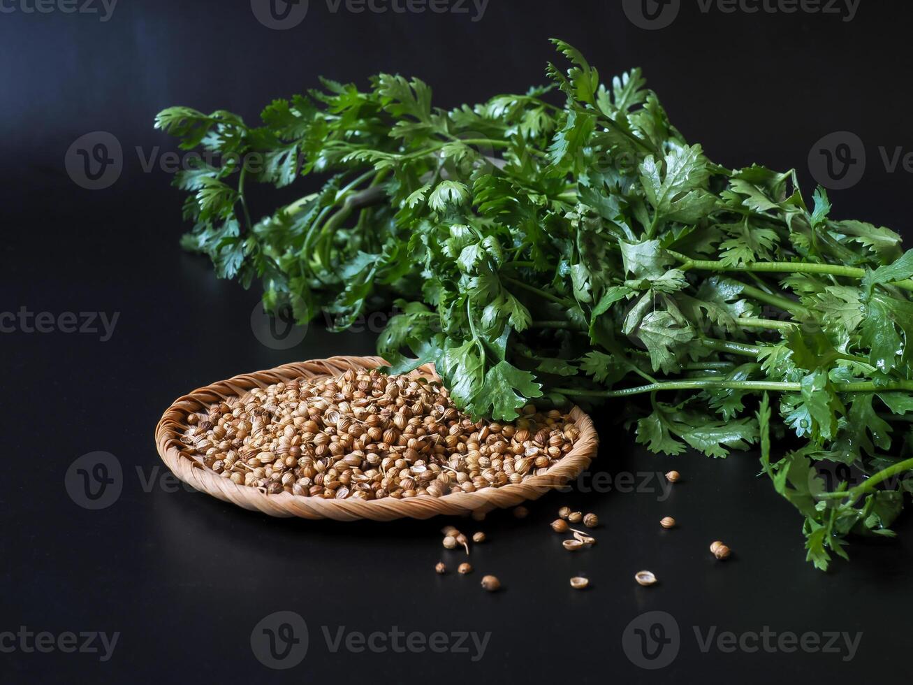 Coriander seeds in a wicker tray with fresh coriander leaves on a black background. photo