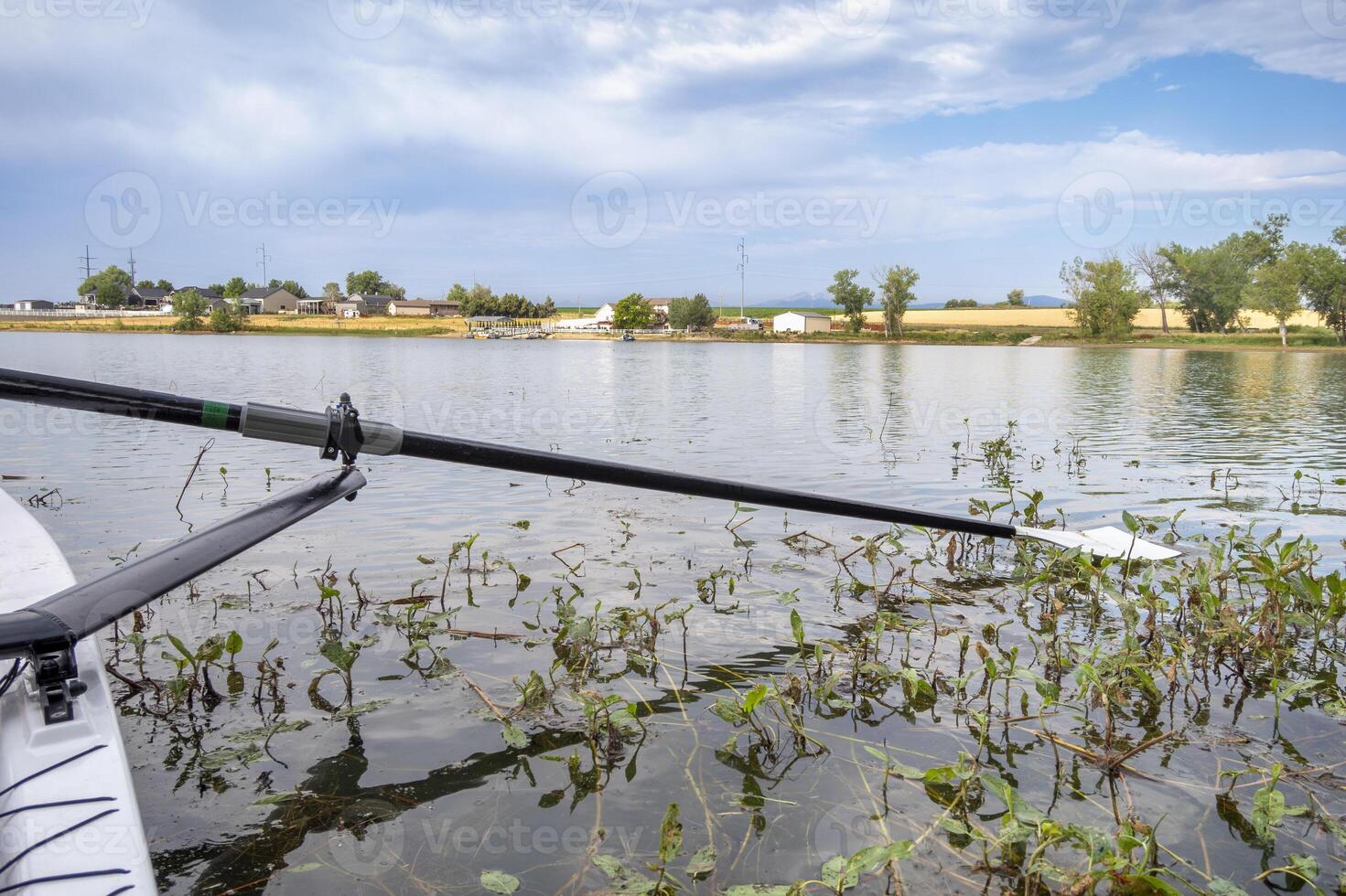 hatchet sculling oar on a calm lake with water weeds, Boyd Lake in Colorado photo