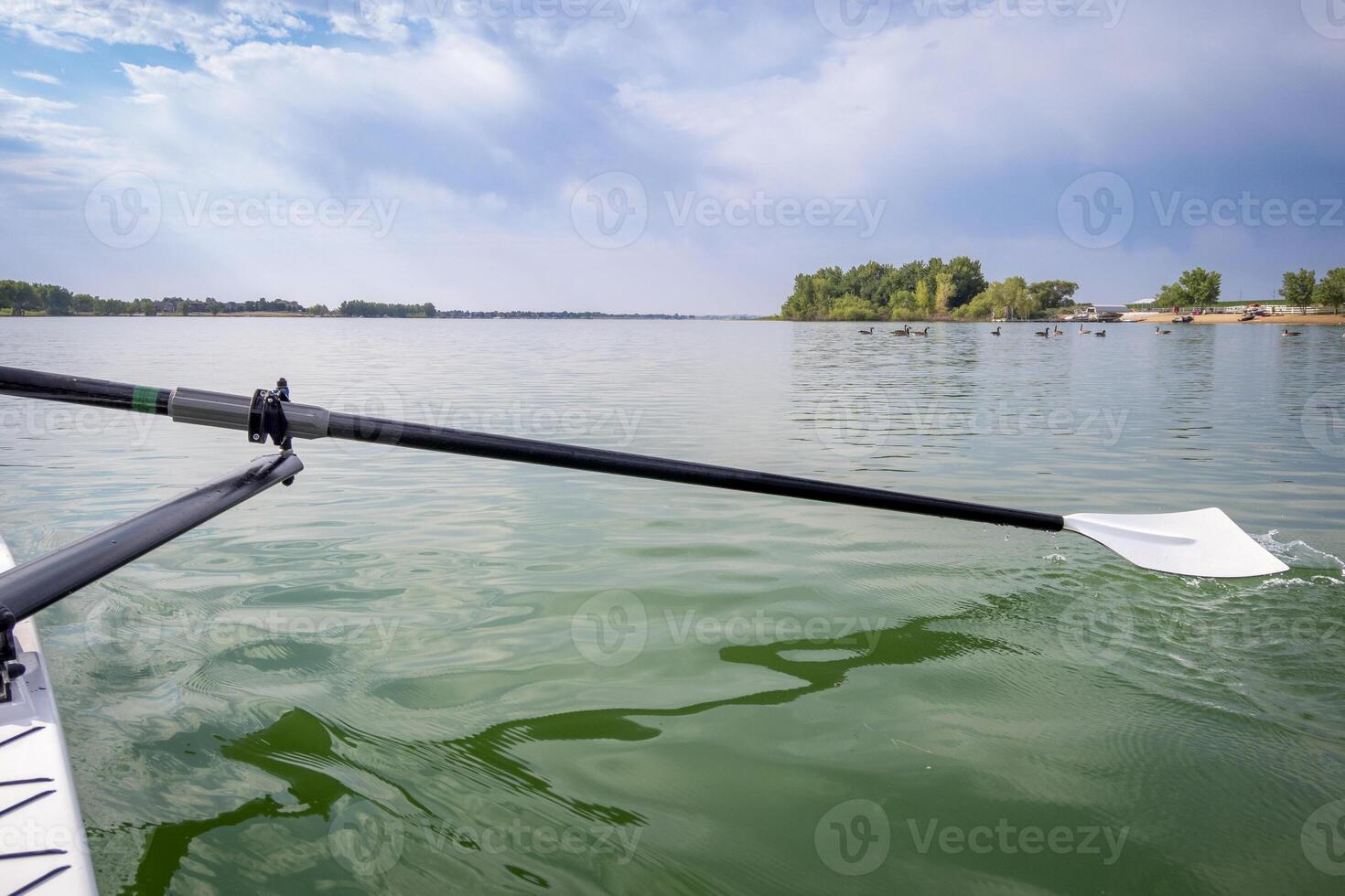 hatchet sculling oar and a rowing shell on a calm lake in summer, Boyd Lake in Colorado photo