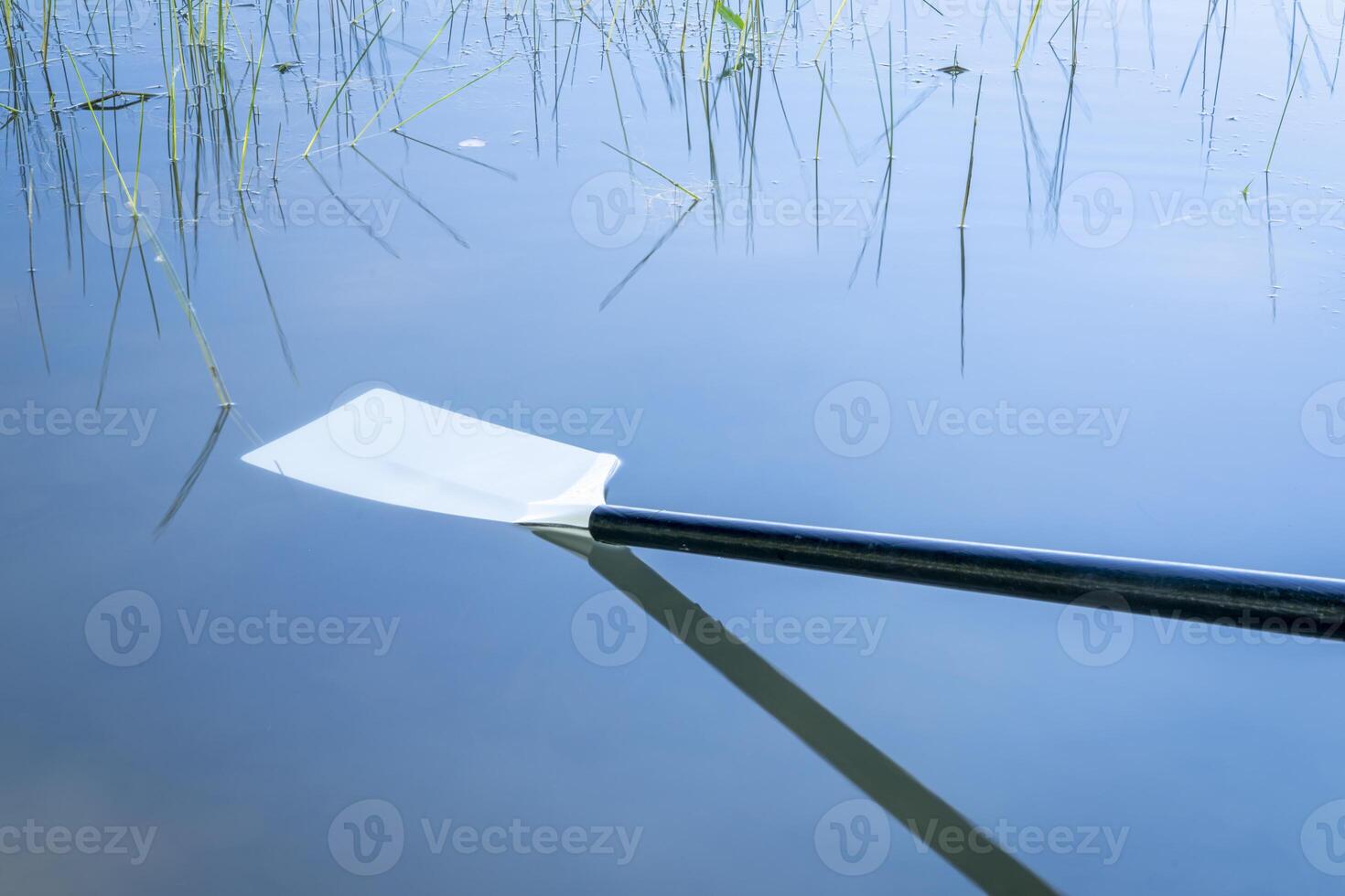 hatchet sculling oar on a calm lake, Boyd Lake in Colorado photo