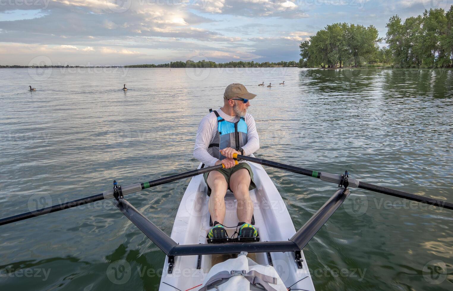 senior man in a rowing shell and Canadian geese on a calm lake in Colorado in summer scenery photo