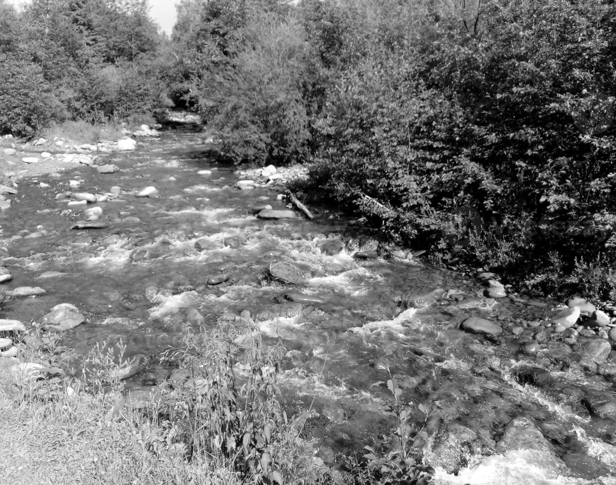 Mountain river and green bushes. Black and white monochrome photo